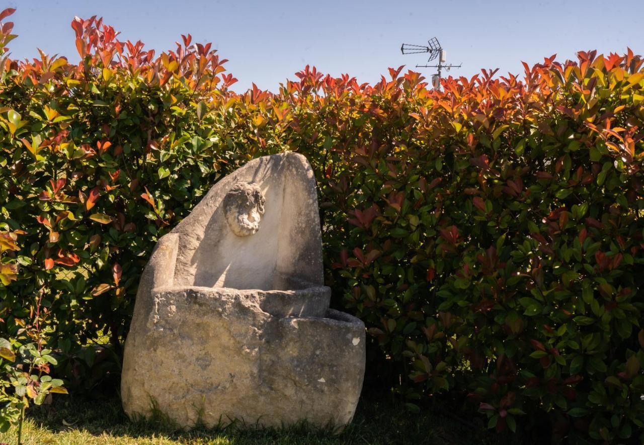 Le Case Di Camin Bianco Castelfiorentino Esterno foto